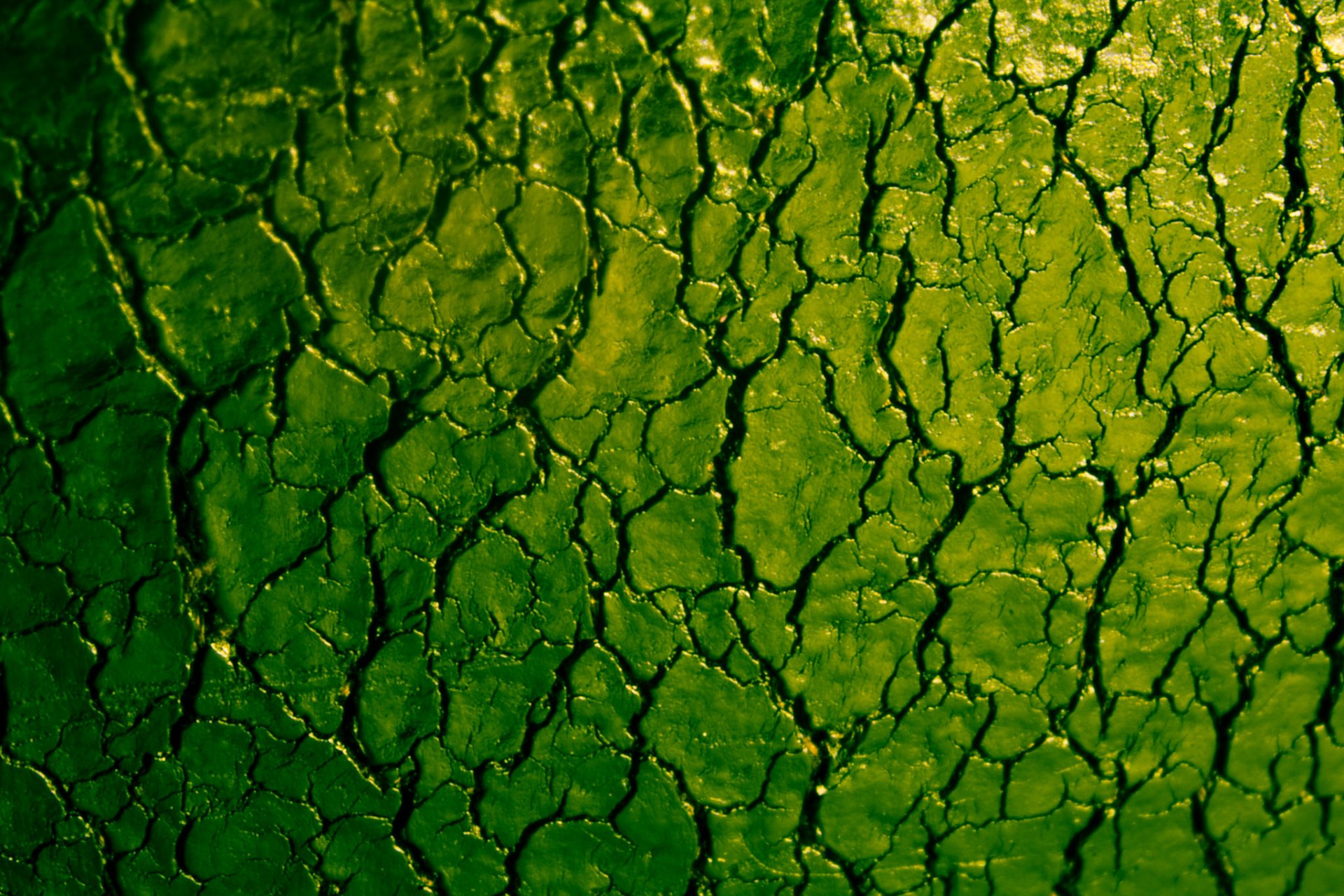 fissure couleur surface texture