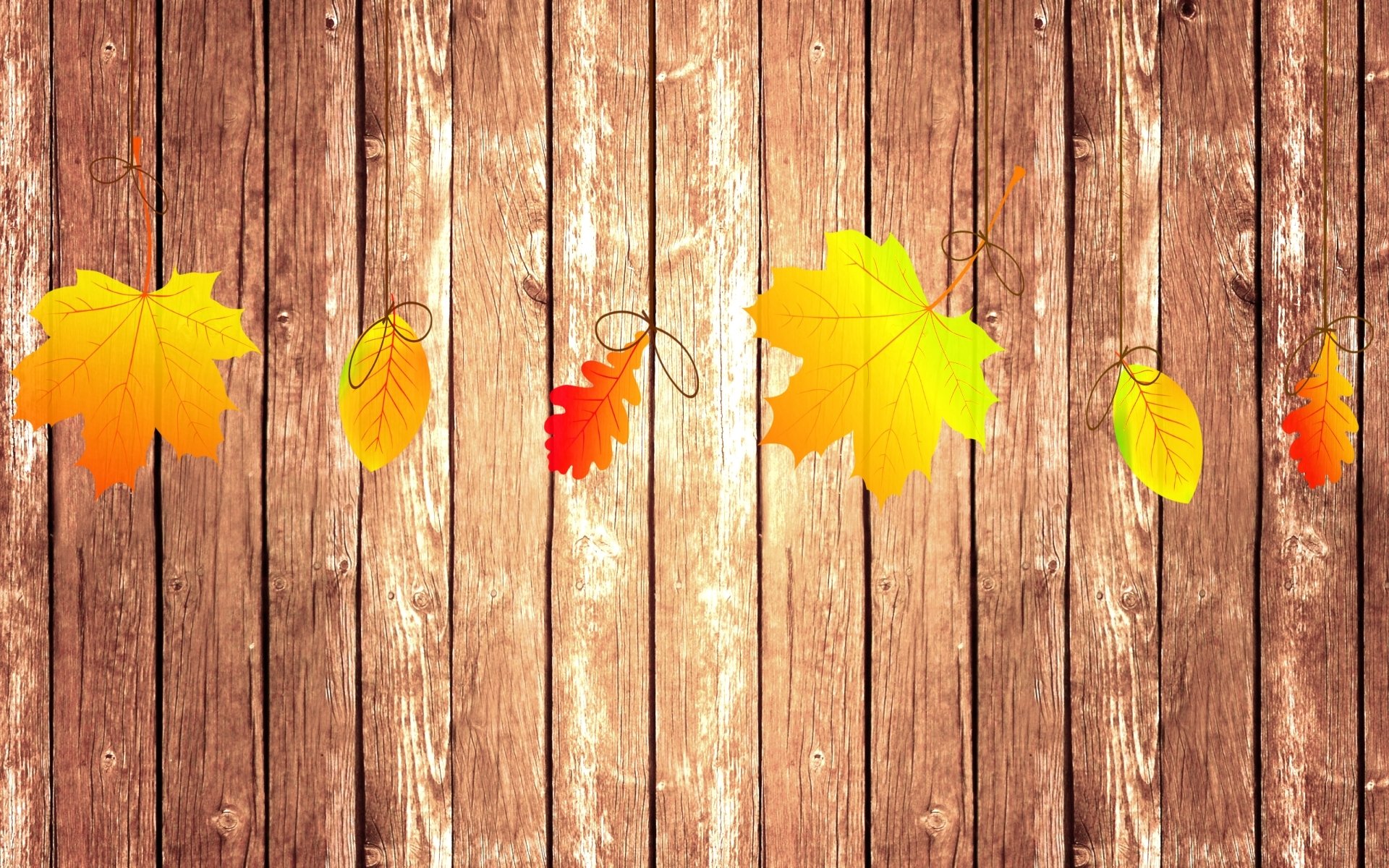 automne feuilles collage planches texture