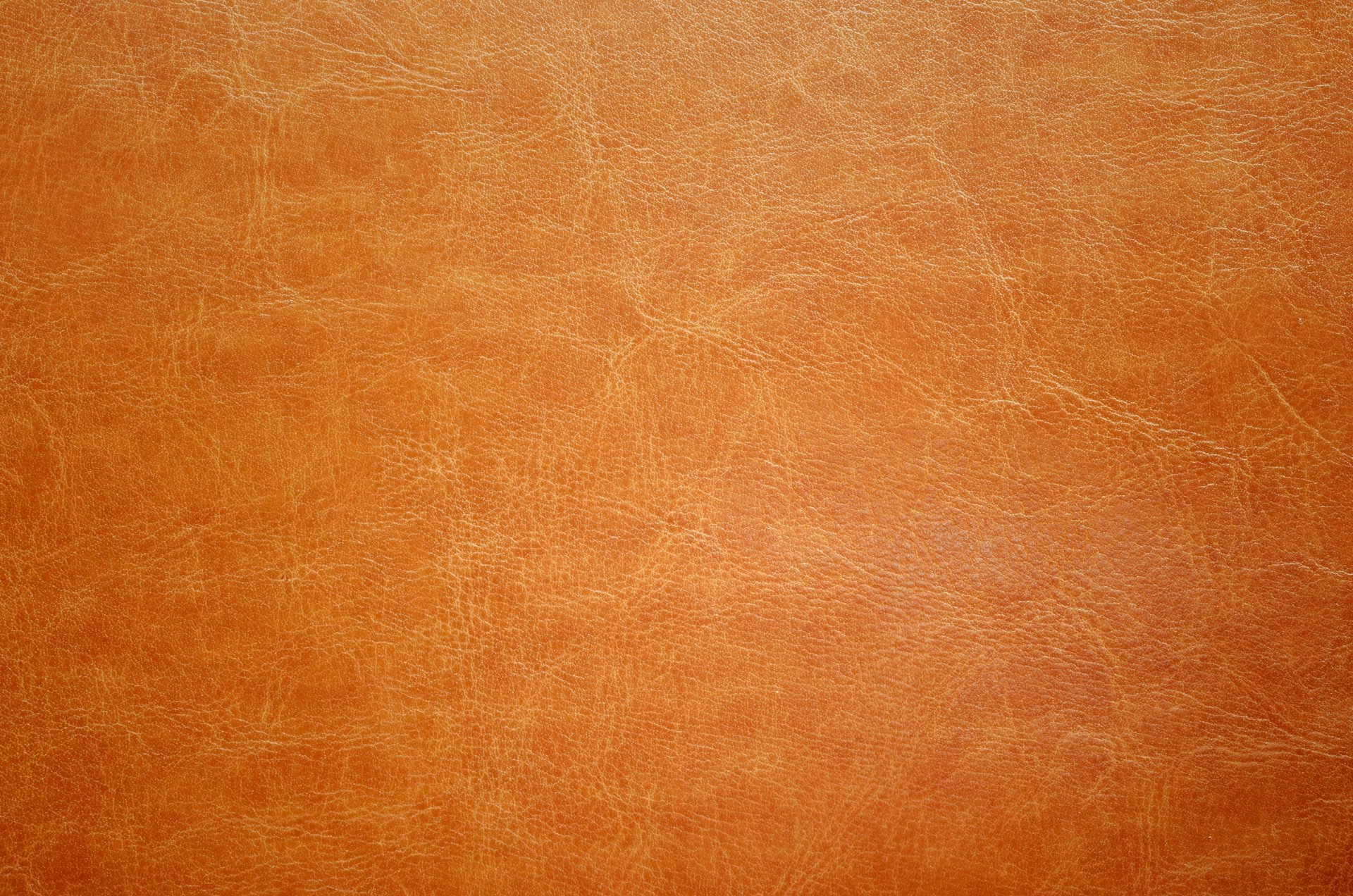 pelle texture