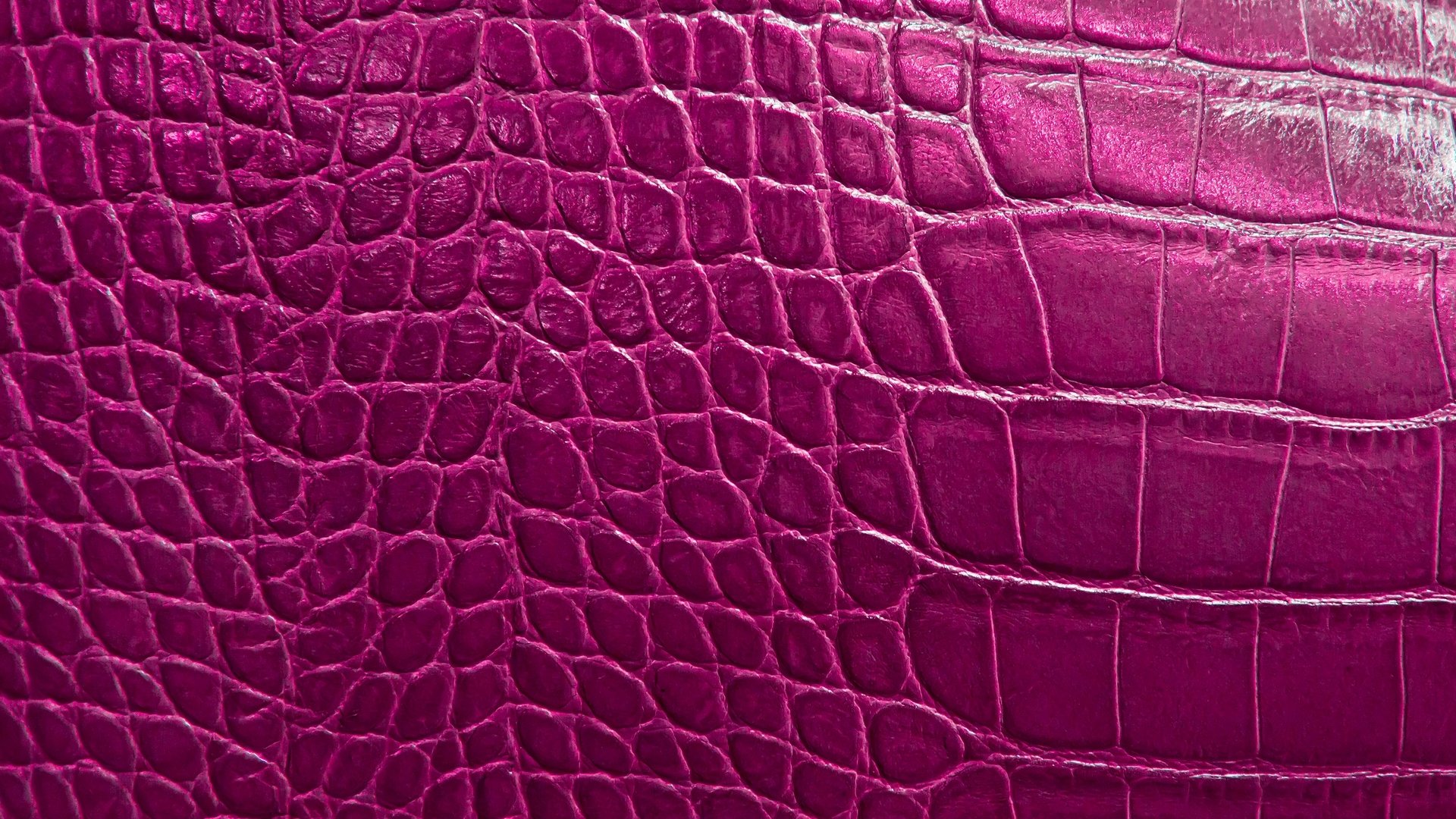 textura de piel de cocodrilo reptil