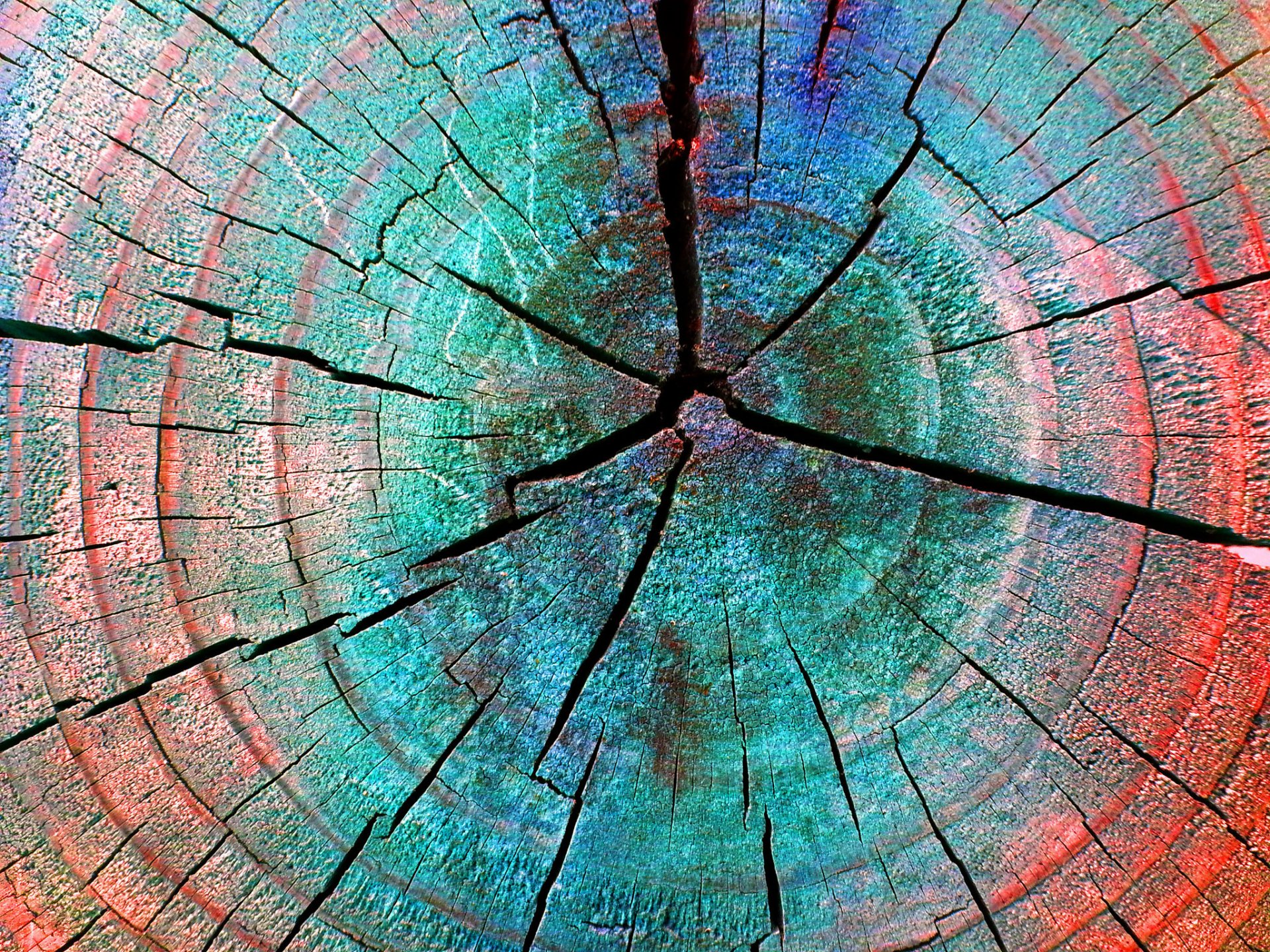 holz stumpf geknackt farbe ringe