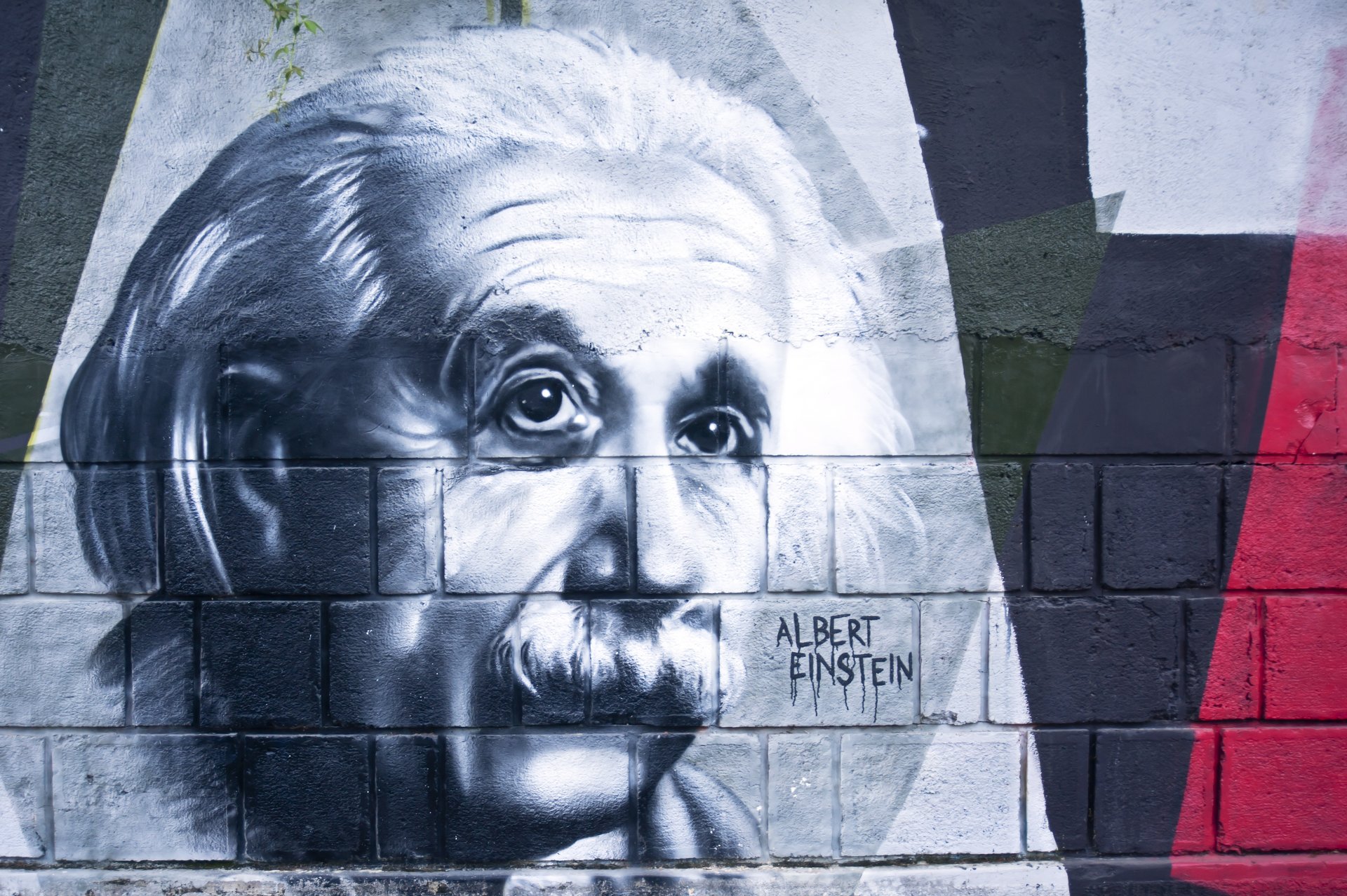 albert einstein pared modelo