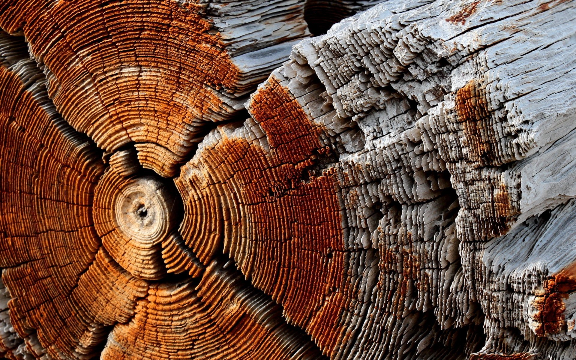 madera textura fondo