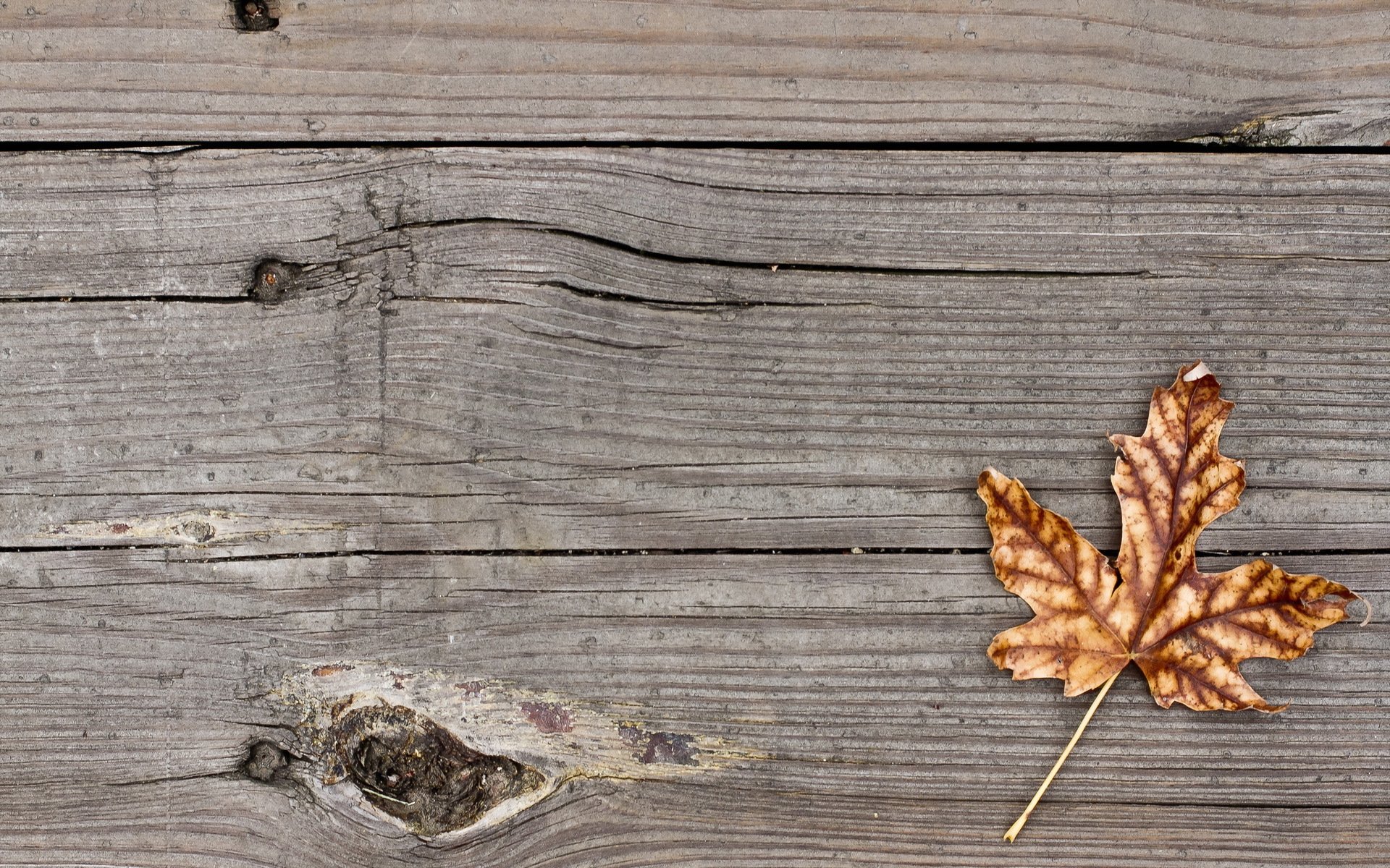 planches feuille fond