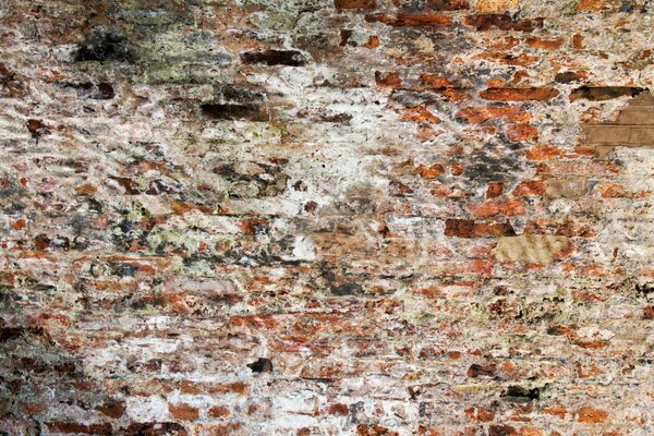 Muro di vecchi mattoni che cadono a pezzi