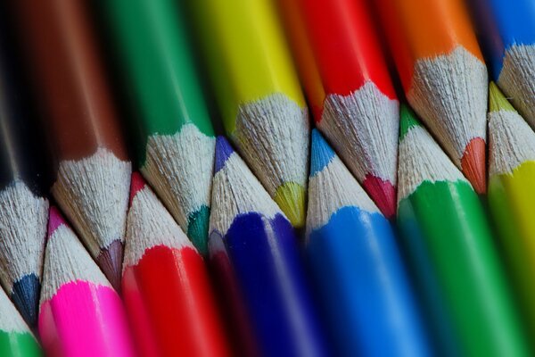 Multicolored pencils close-up