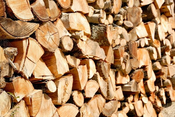 Wood in the woodpile close-up