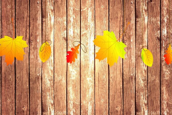 Feuilles d érable et de chêne dans les couleurs jaune-orange de l automne couché sur les planches