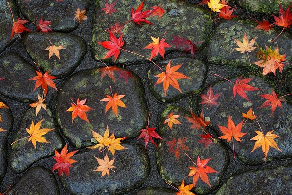 Bridge road in autumn with leaves and stones