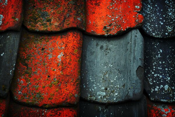 The roof is made of red and black tiles