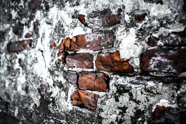 Beautiful brick wall texture