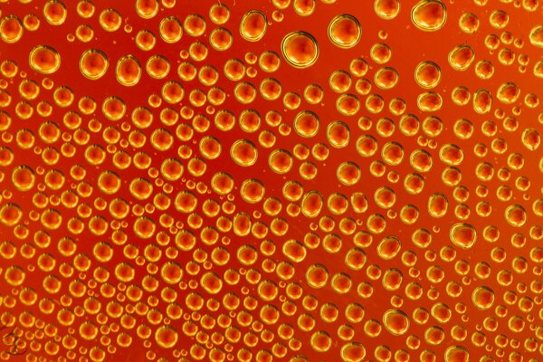 Bulles sur fond orange