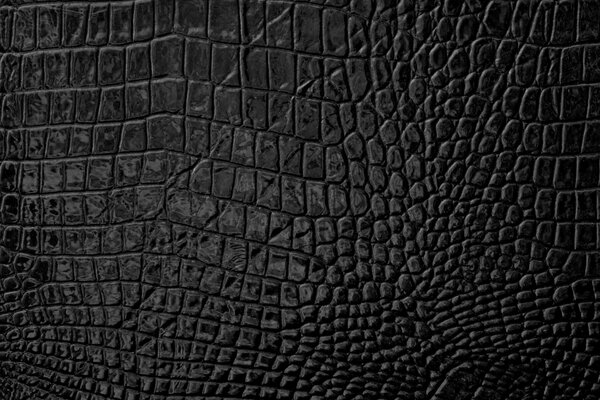 Black leather snake texture