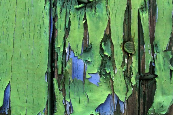 Текстура краски на заборе зеленая