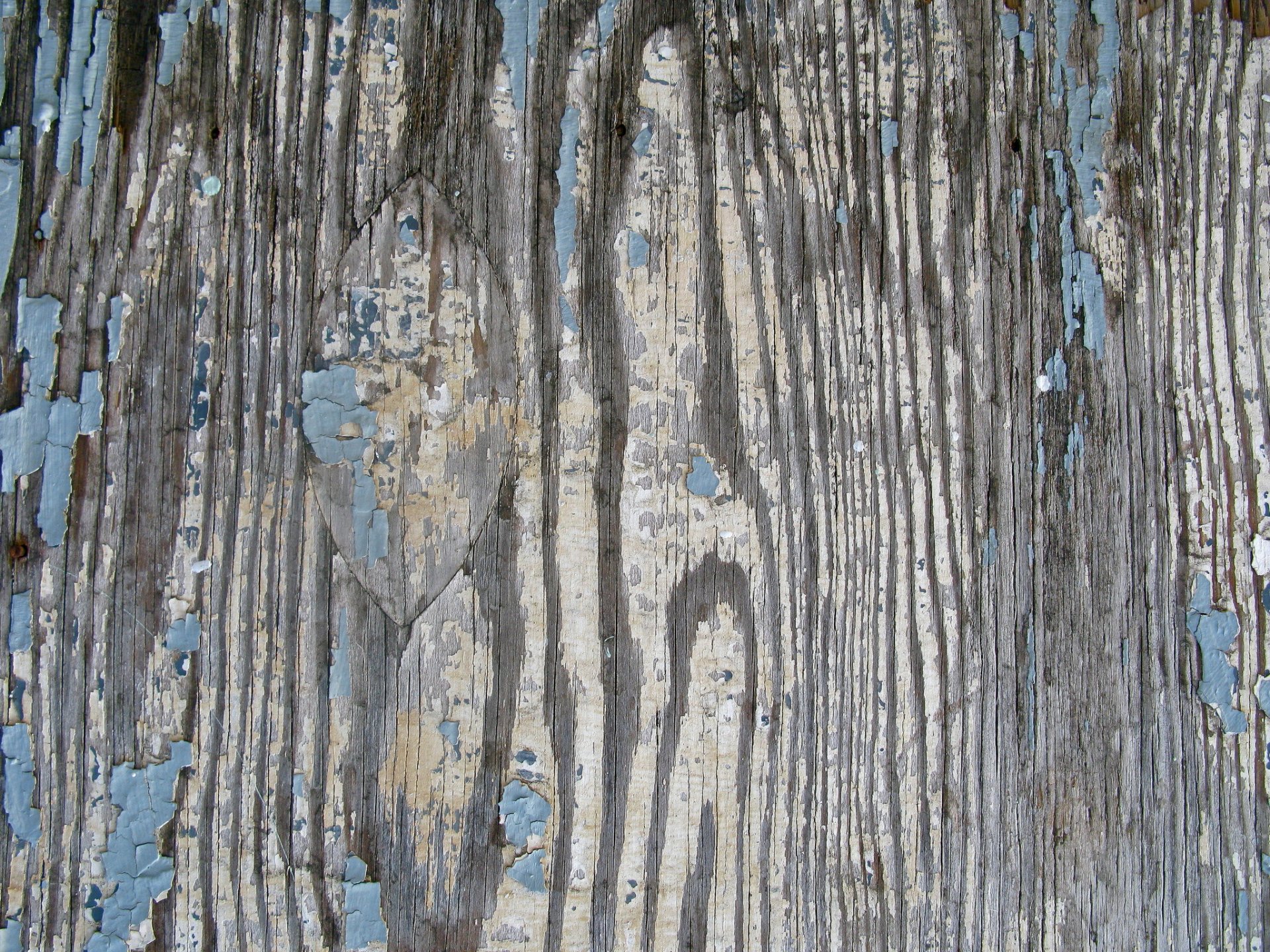 board tree texture