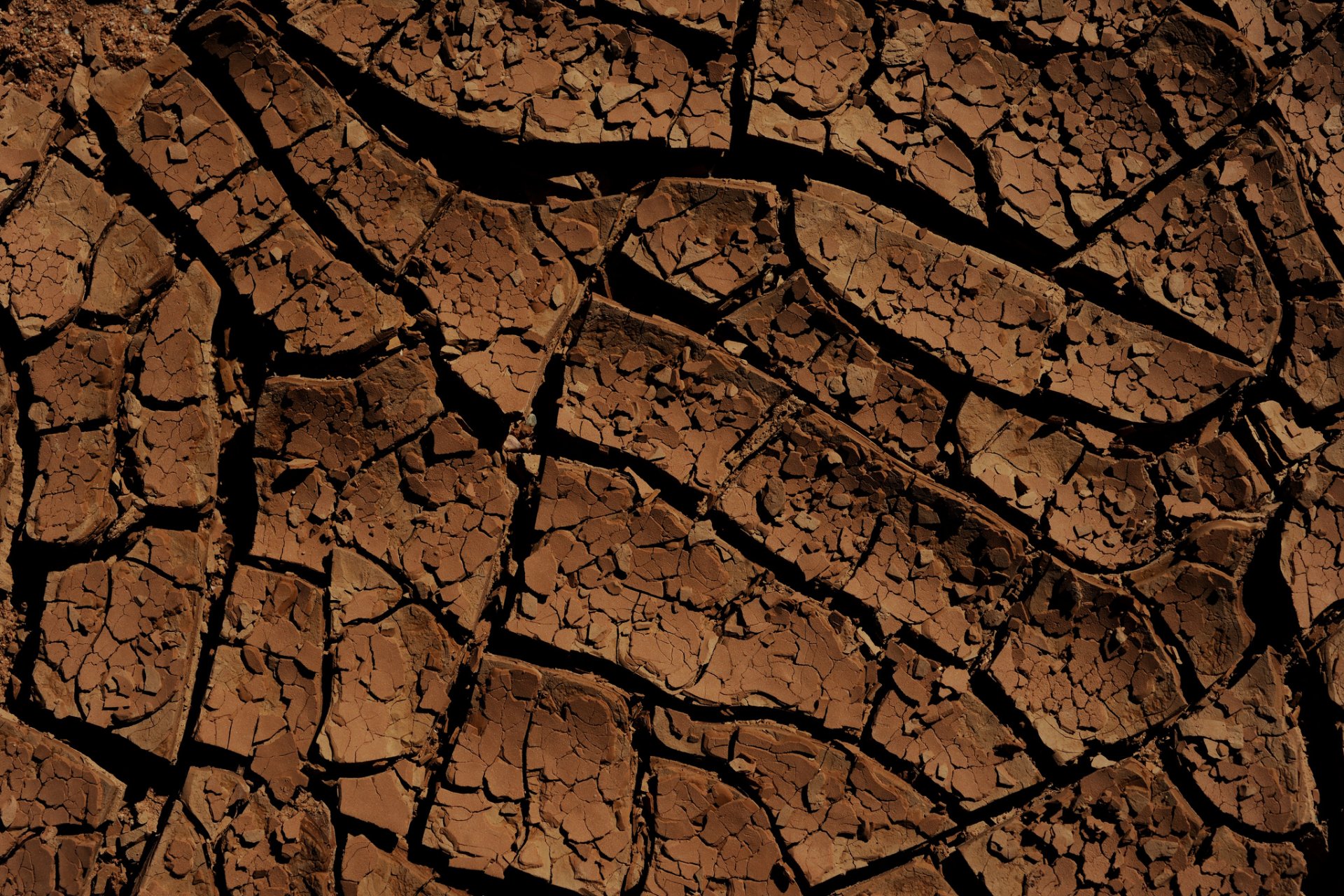 of the crack soil relief land textures background