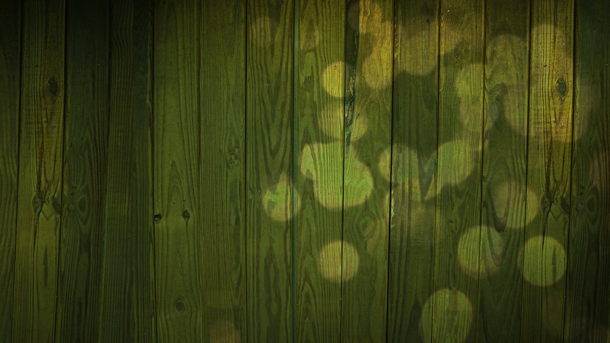 board green tree wall reflections texture