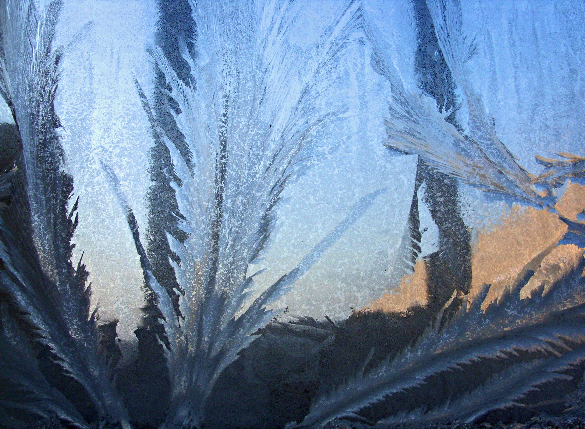 frost glas winter