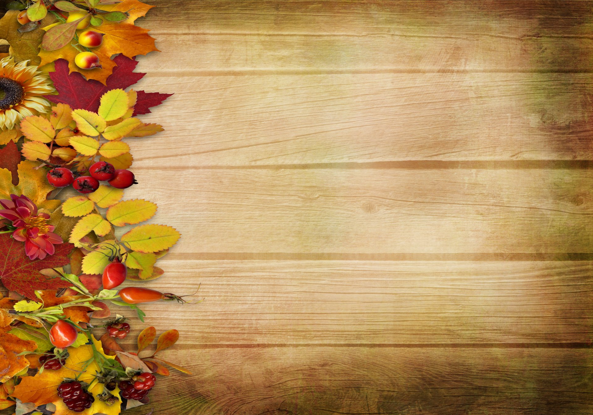 herbst jahrgang hintergrund blätter beeren blumen baum