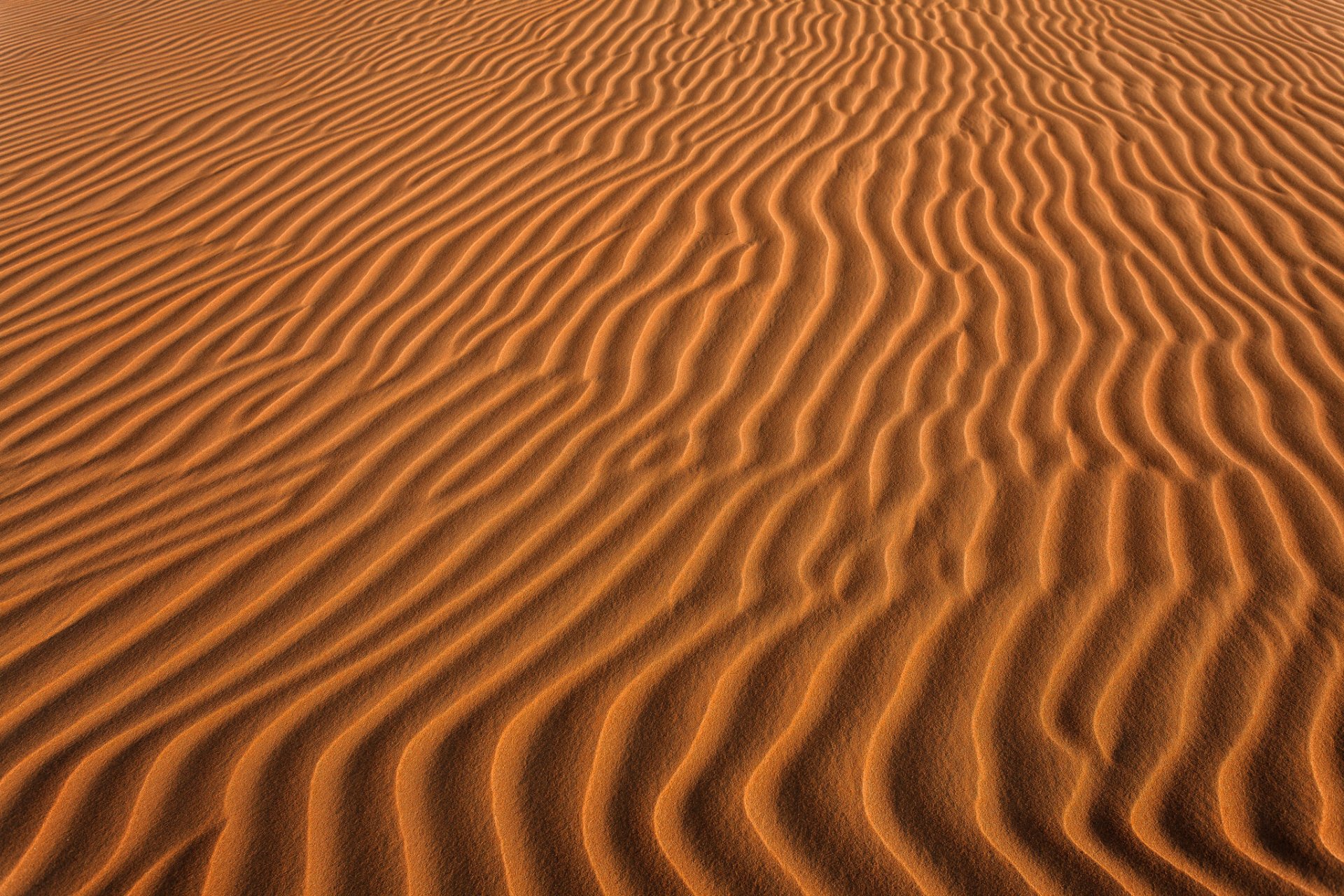 deserto sabbia onde natura