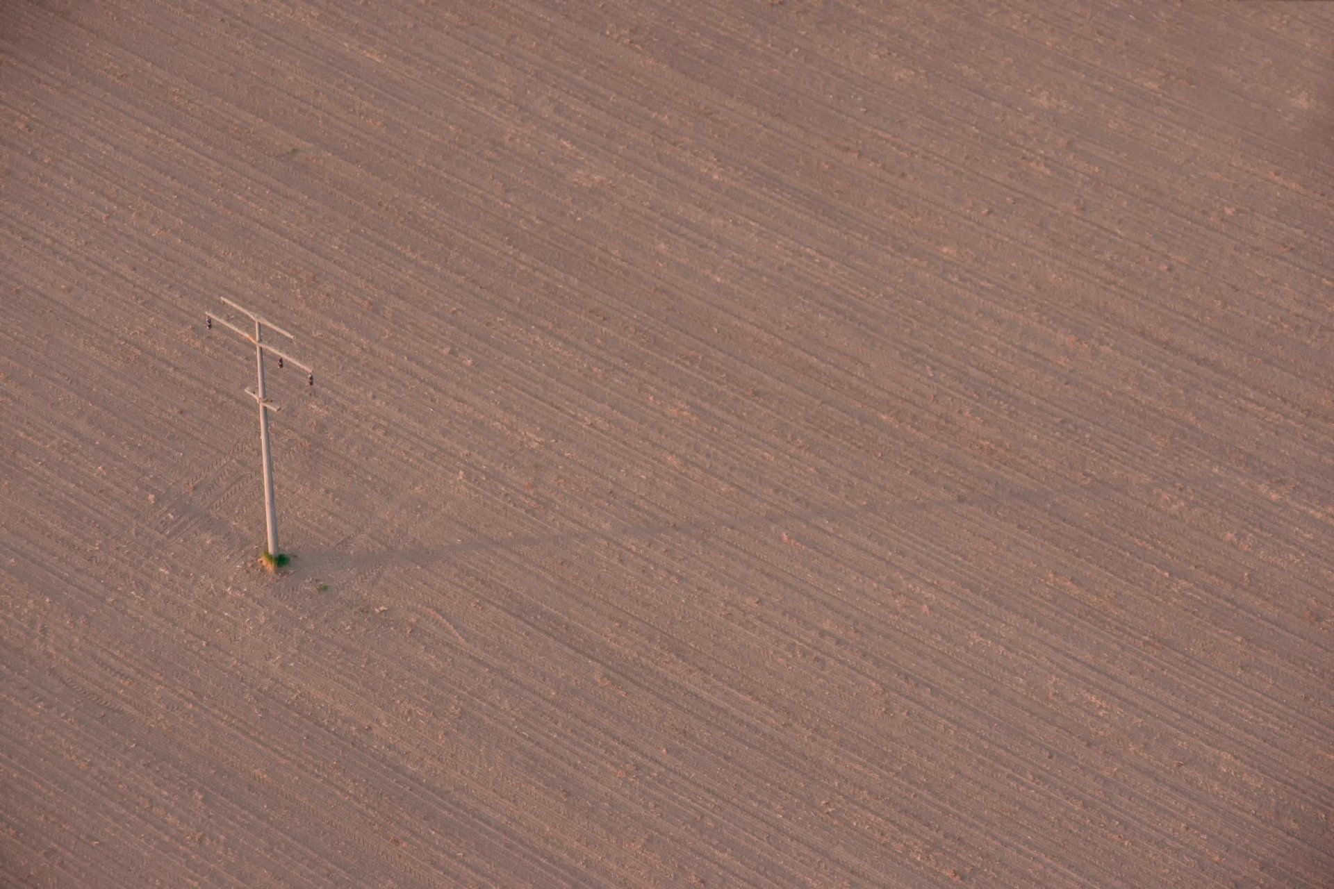 the field arable land post