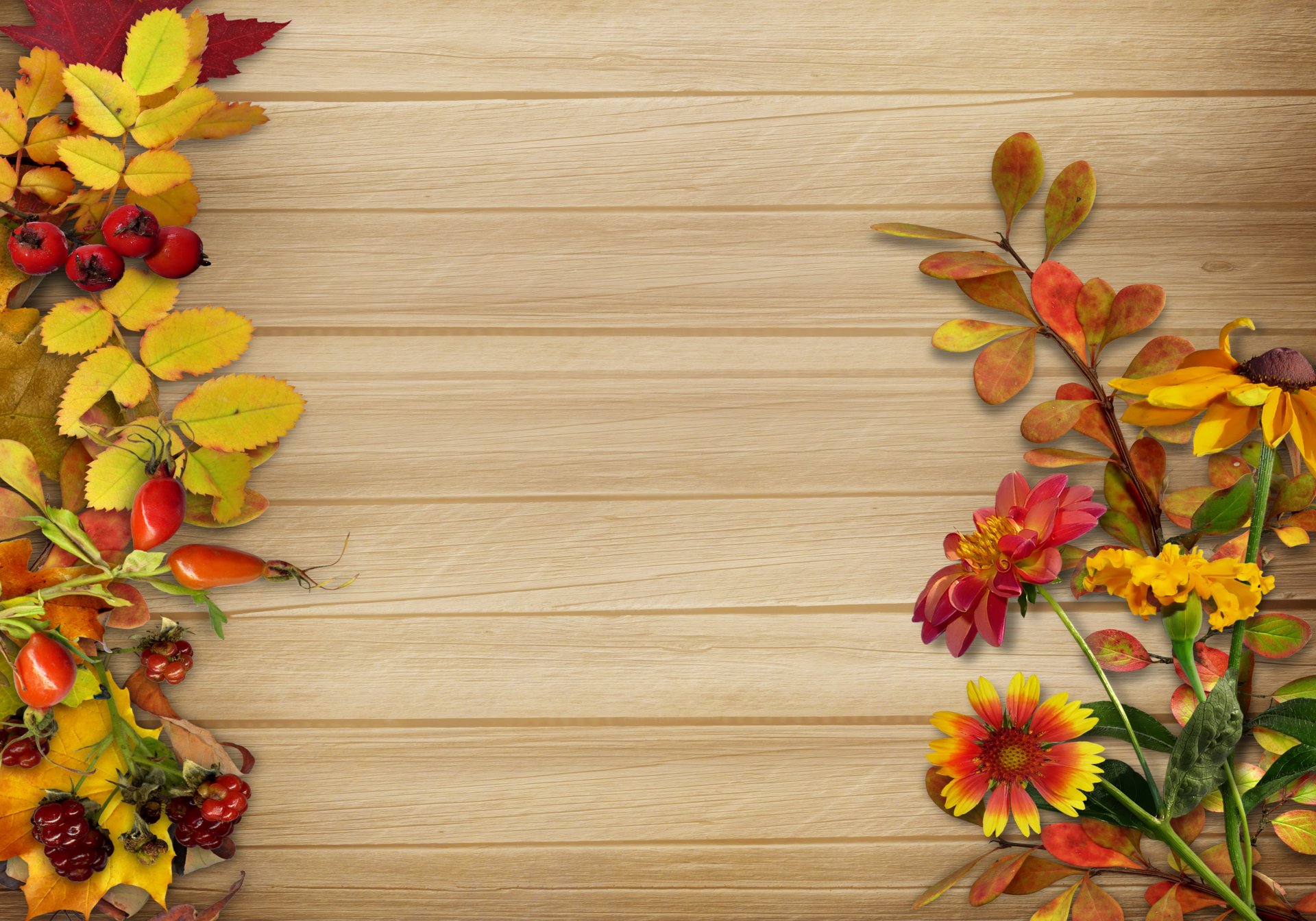 herbst jahrgang hintergrund blätter beeren blumen