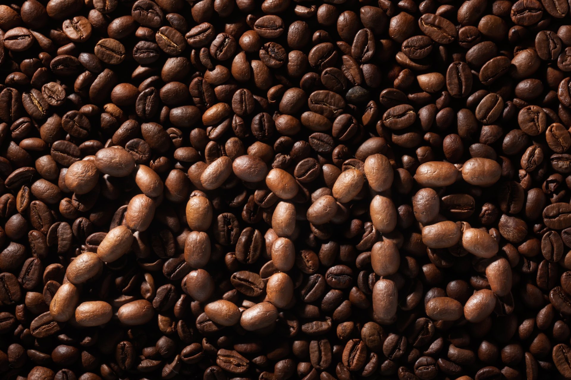 coffee beans background 2015 texture