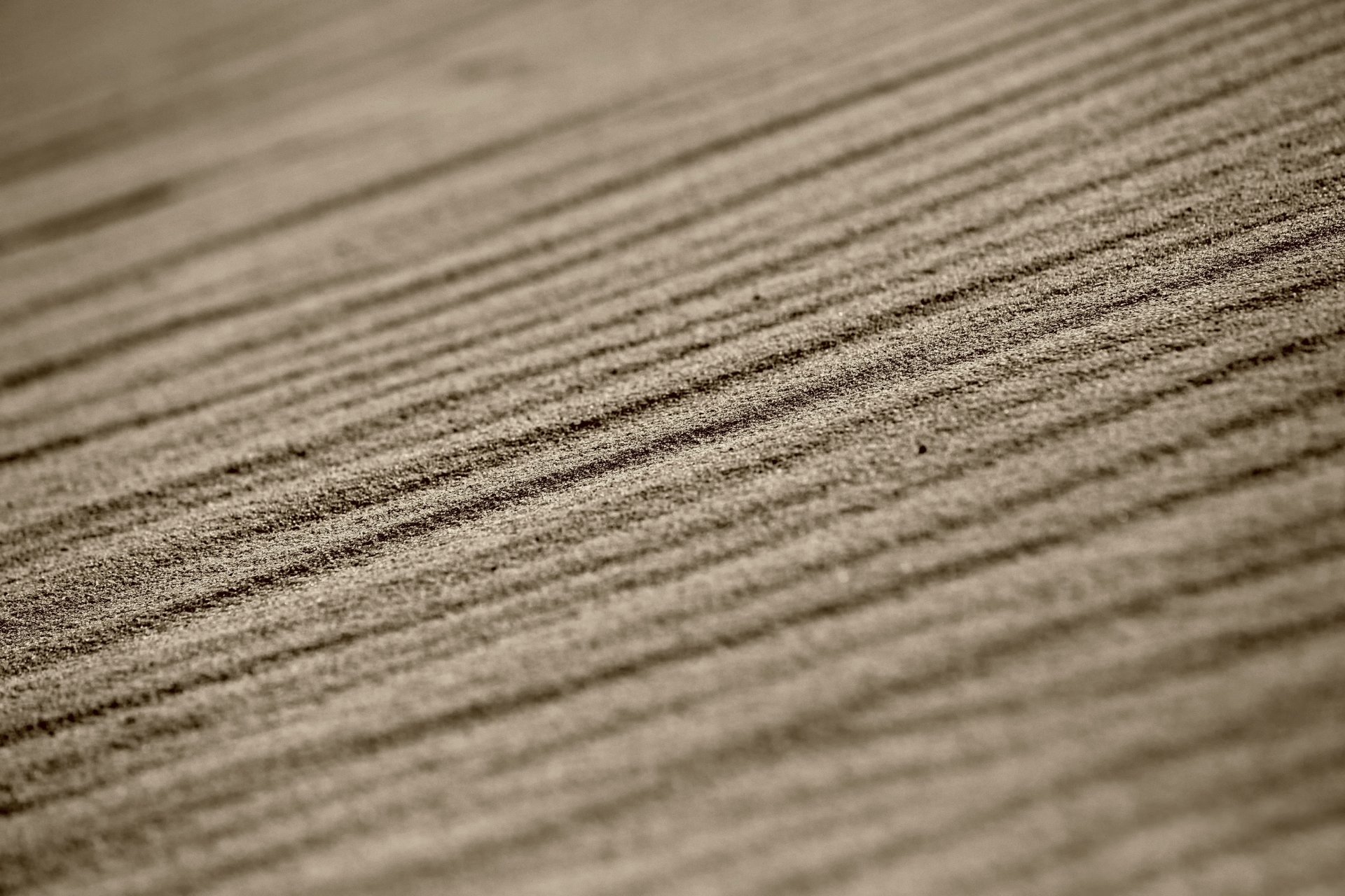 sand linien makro bokeh