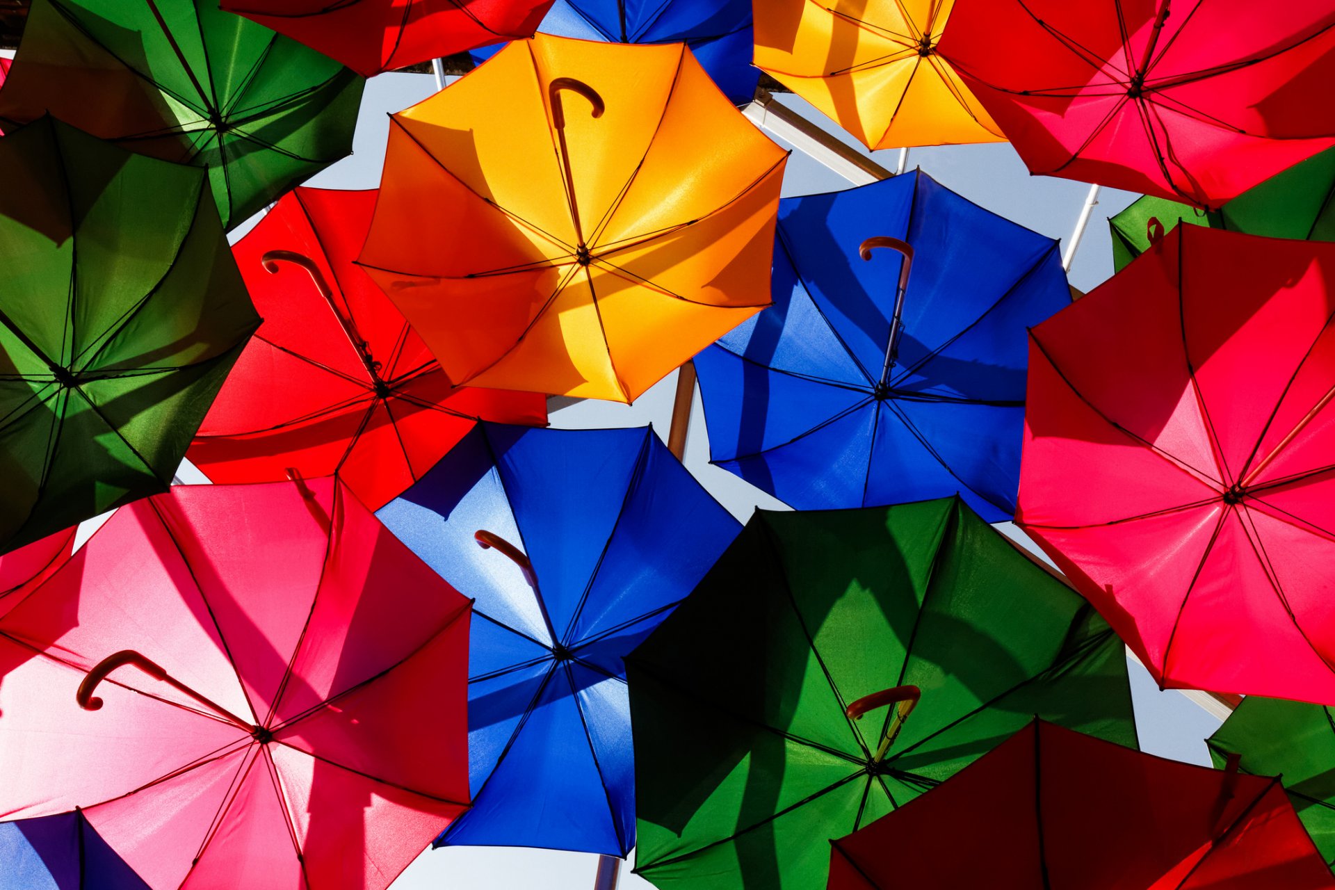 umbrellas colored bright