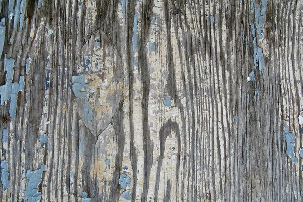 Wood texture background with mold