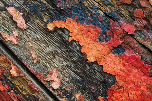 Orange paint on a wet board