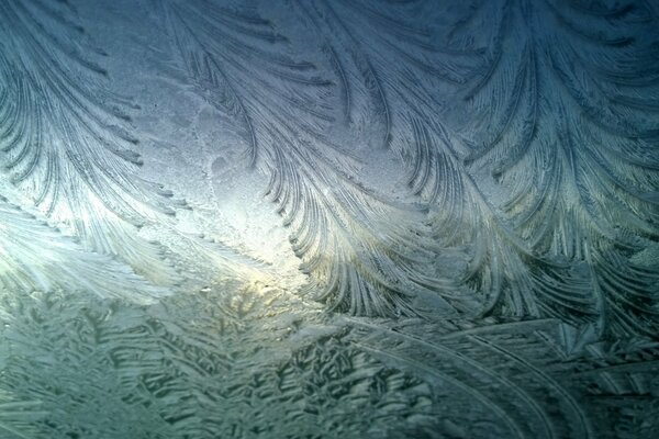 Muster im Winter auf Glas bei Frost