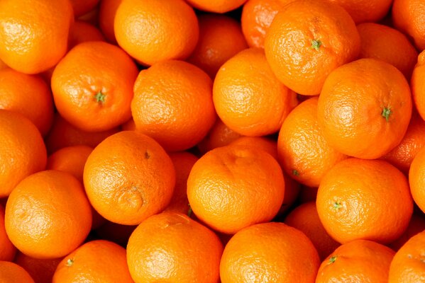 Juicy landscape of round oranges