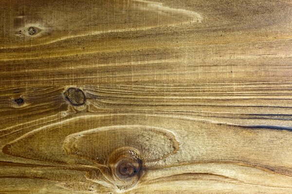 Textura del panel de madera cerca