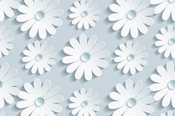 White volumetric 3d daisies on a gray background