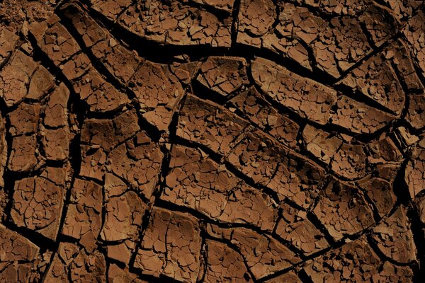 Brown cracked soil. Background