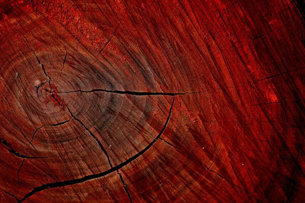 Struttura in legno con crepe di colore rosso