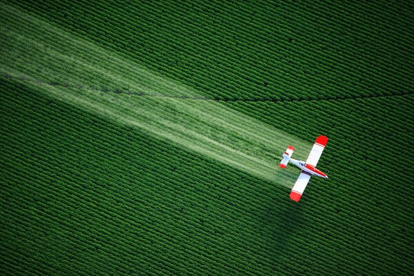 Landing the plane in the field