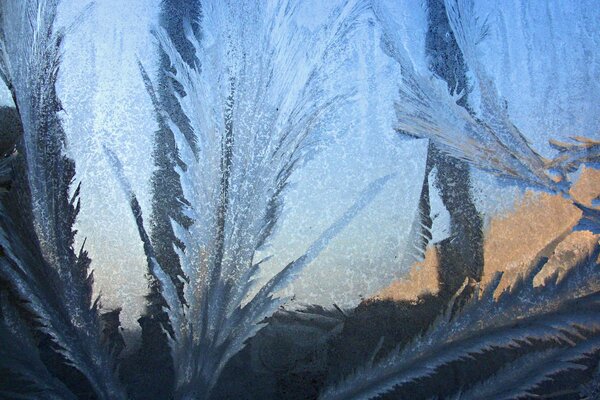 Winter windows with an ice pattern