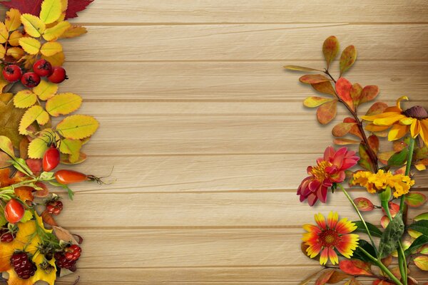 Autumn colors on the background of the house