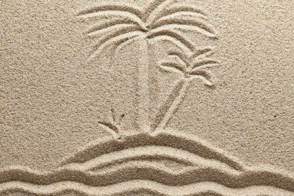 Palm trees and the sea. Drawing in the sand