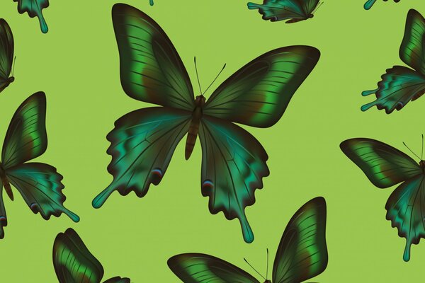 Mariposas verde turquesa sobre fondo verde