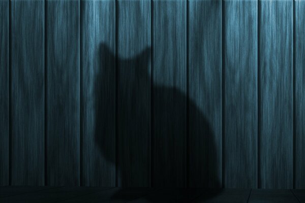 Тень кота на фоне деревянного забора