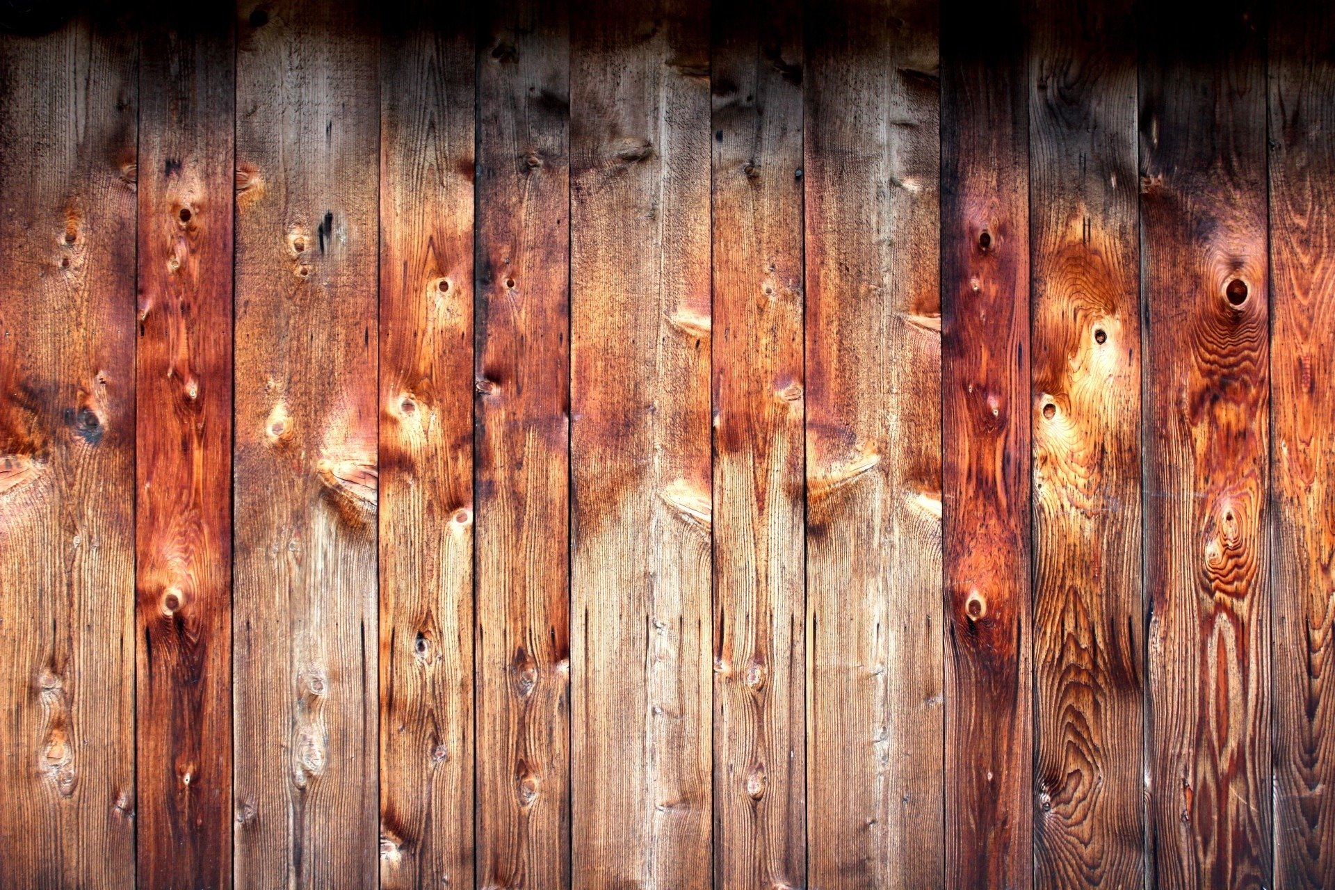 tree board textures background