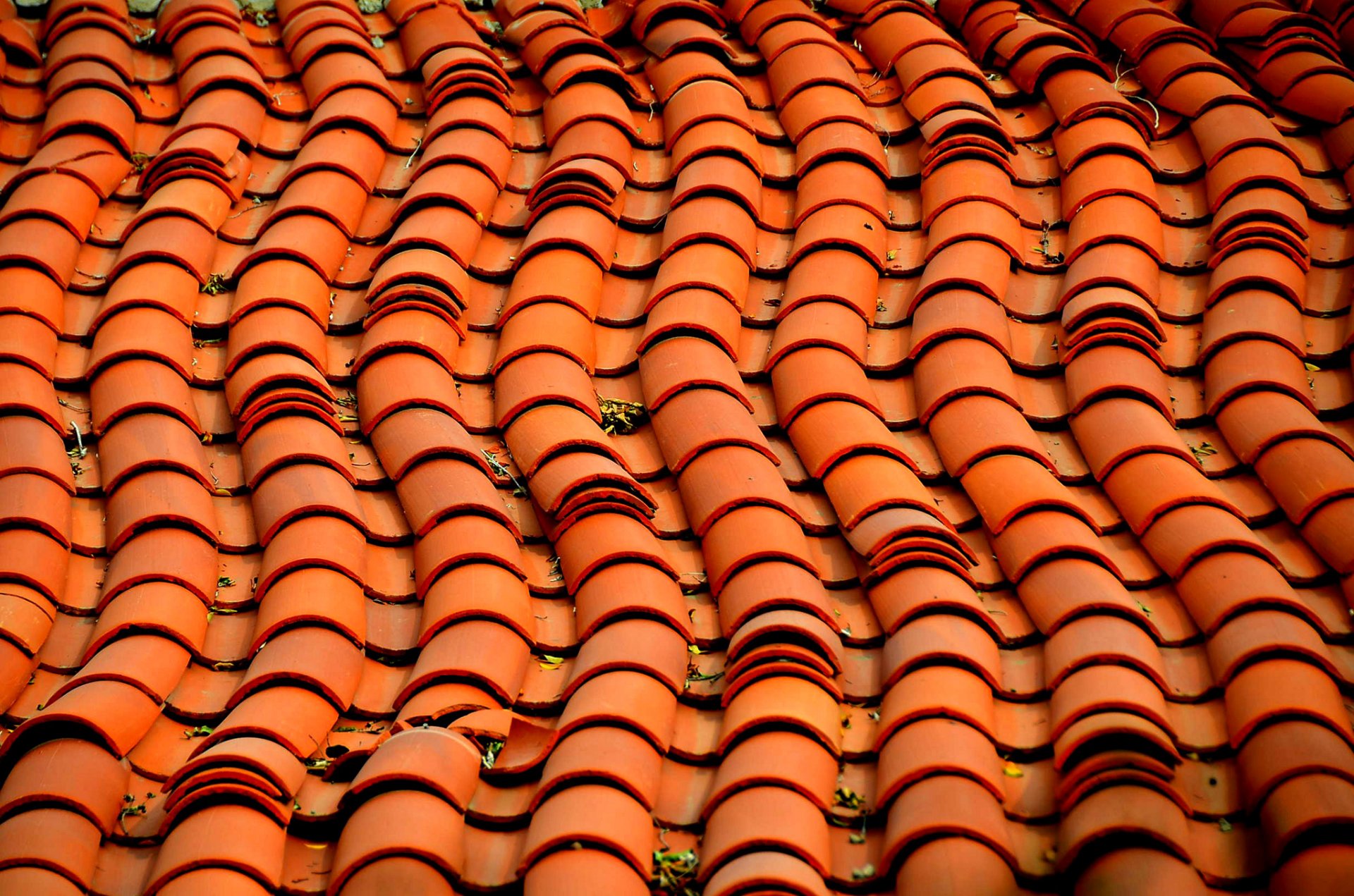 roof roofing shingle