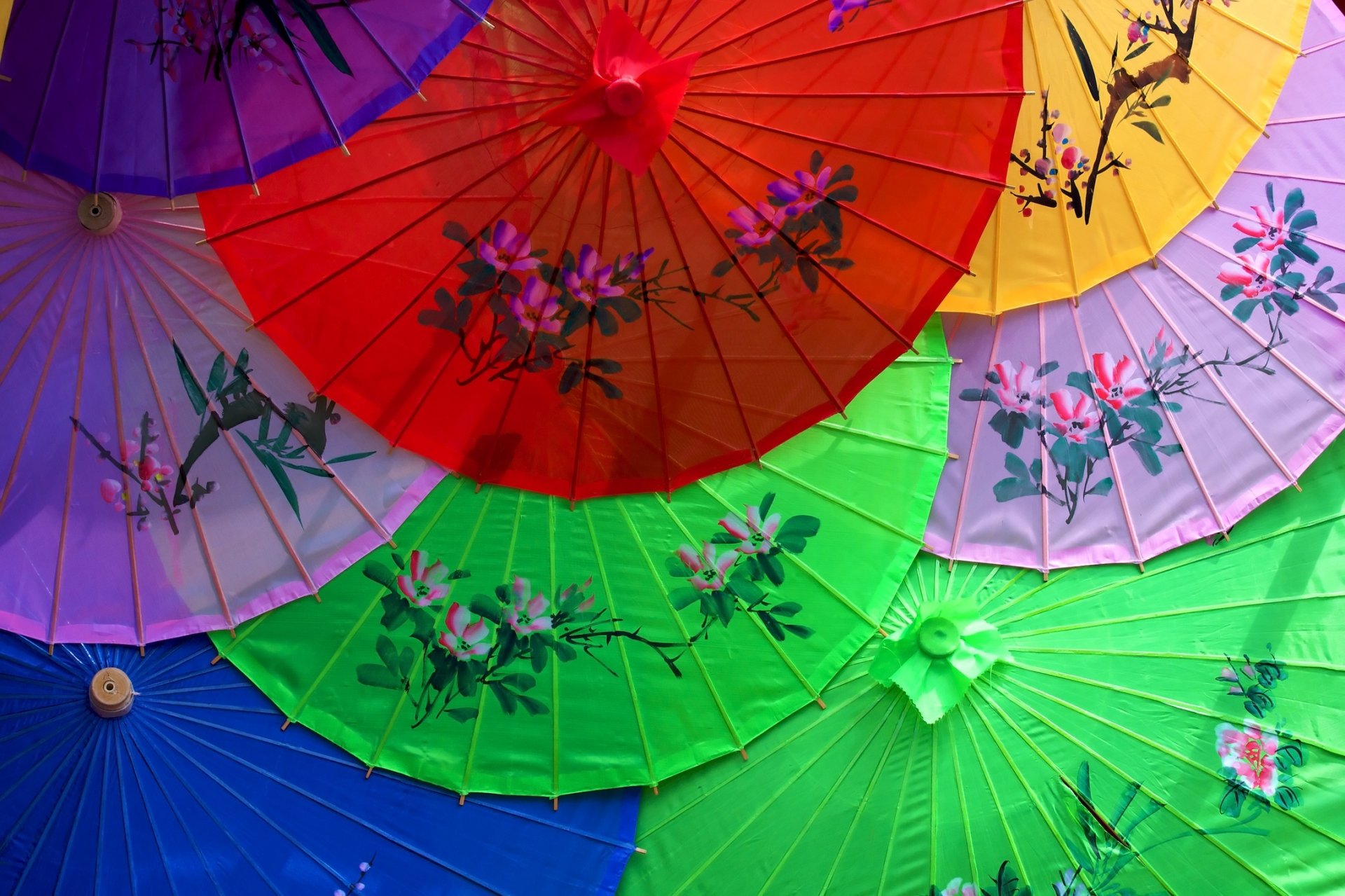 parapluie asie chine japon parapluie fleurs modèle