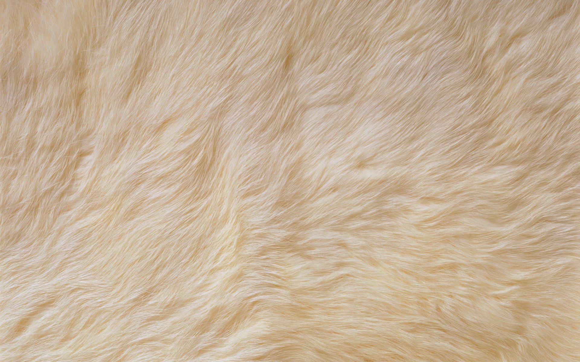 fur white textures hide