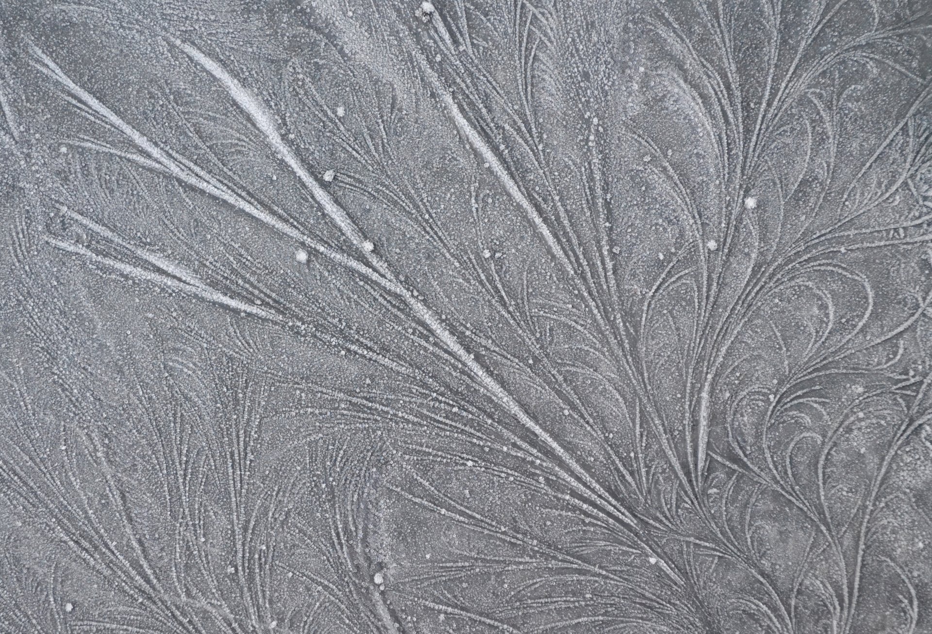 frost frost patterns line