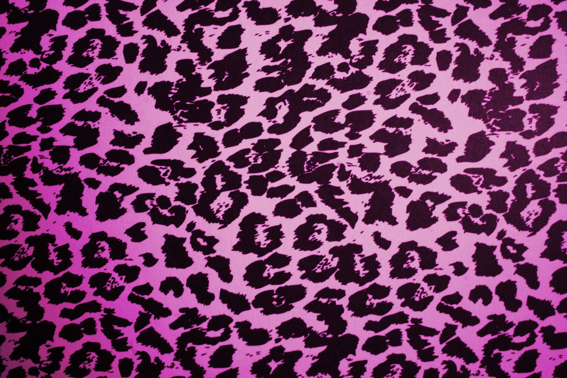 leopardo rosa texture