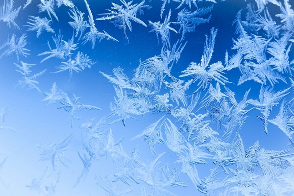 Modelli invernali su vetro schiacciato